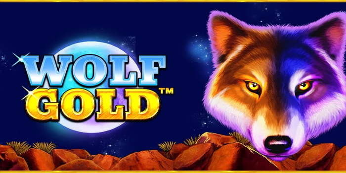 Bocoran Teknik Spin Akurat Untuk Menang Bermain Slot Wolf Gold
